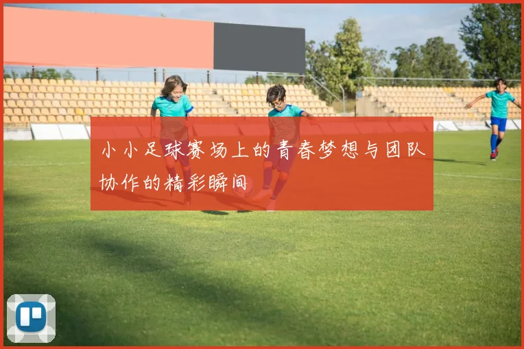 小小足球赛场上的青春梦想与团队协作的精彩瞬间
