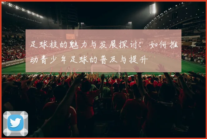 足球枝的魅力与发展探讨：如何推动青少年足球的普及与提升