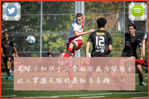 足球小知识十二条助你成为球场小达人掌握足球的奥秘与乐趣