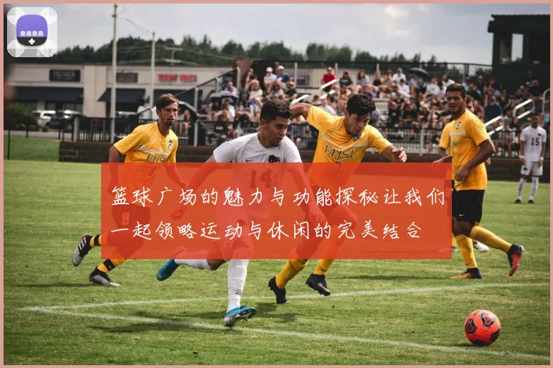 篮球广场的魅力与功能探秘让我们一起领略运动与休闲的完美结合