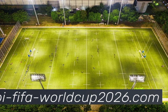 2026世界杯平台生态图
